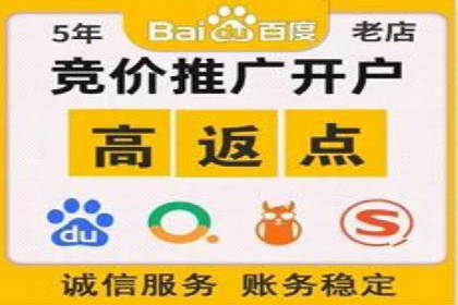 百度推广排名优化策略：成功企业的经验总结